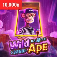 Mã hóa và bảo mật kỹ thuật của shbet win