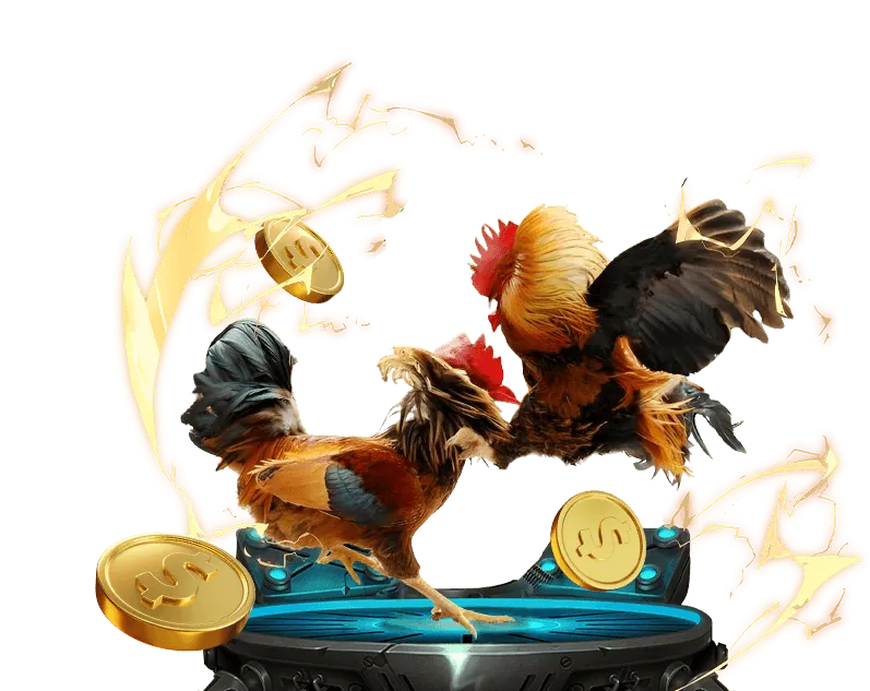 Trách nhiệm xã hội shbet win